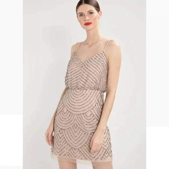 Adrianna Papell | Dresses | Adrianna Papell Vneck Beaded Blouson Mesh Dress 